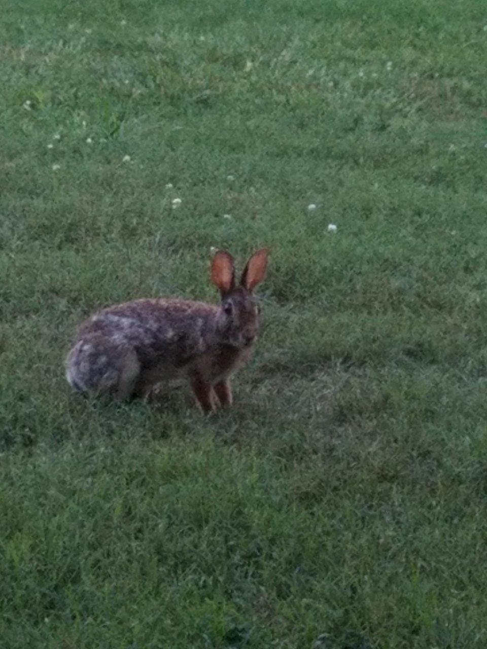 20180617_201841.jpg