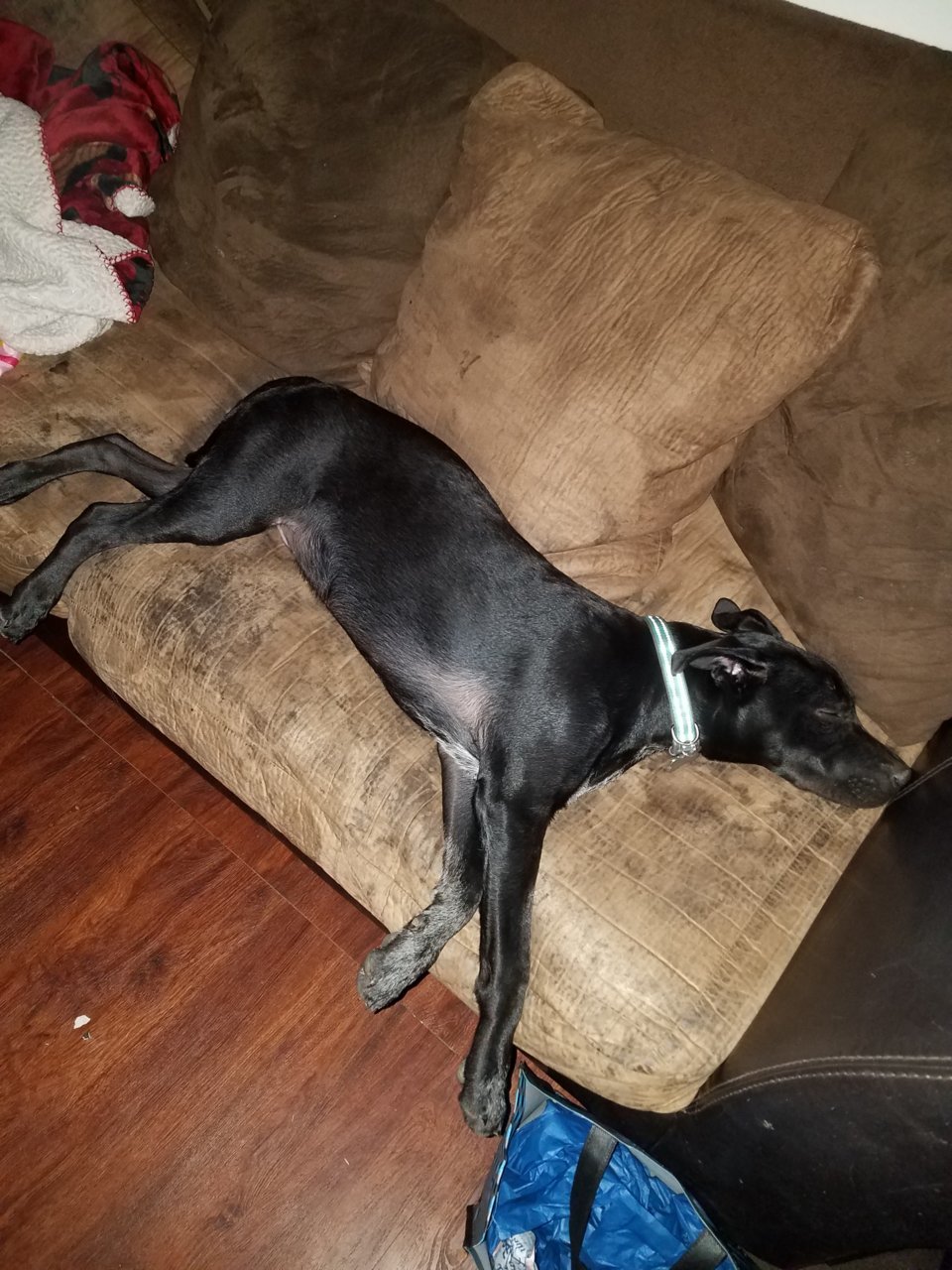 20180617_235417.jpg