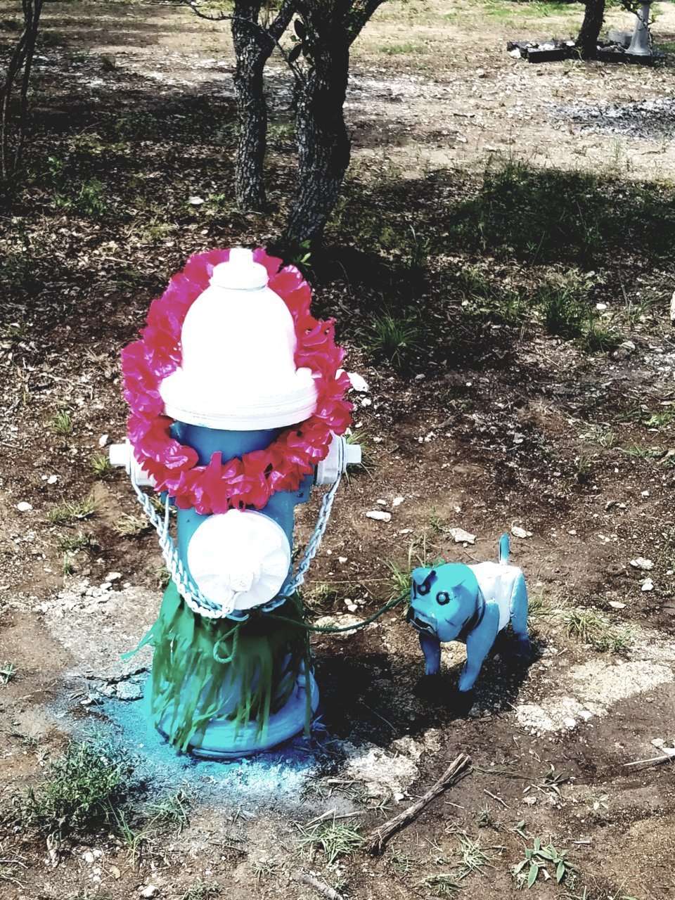 20180618_150257.jpg