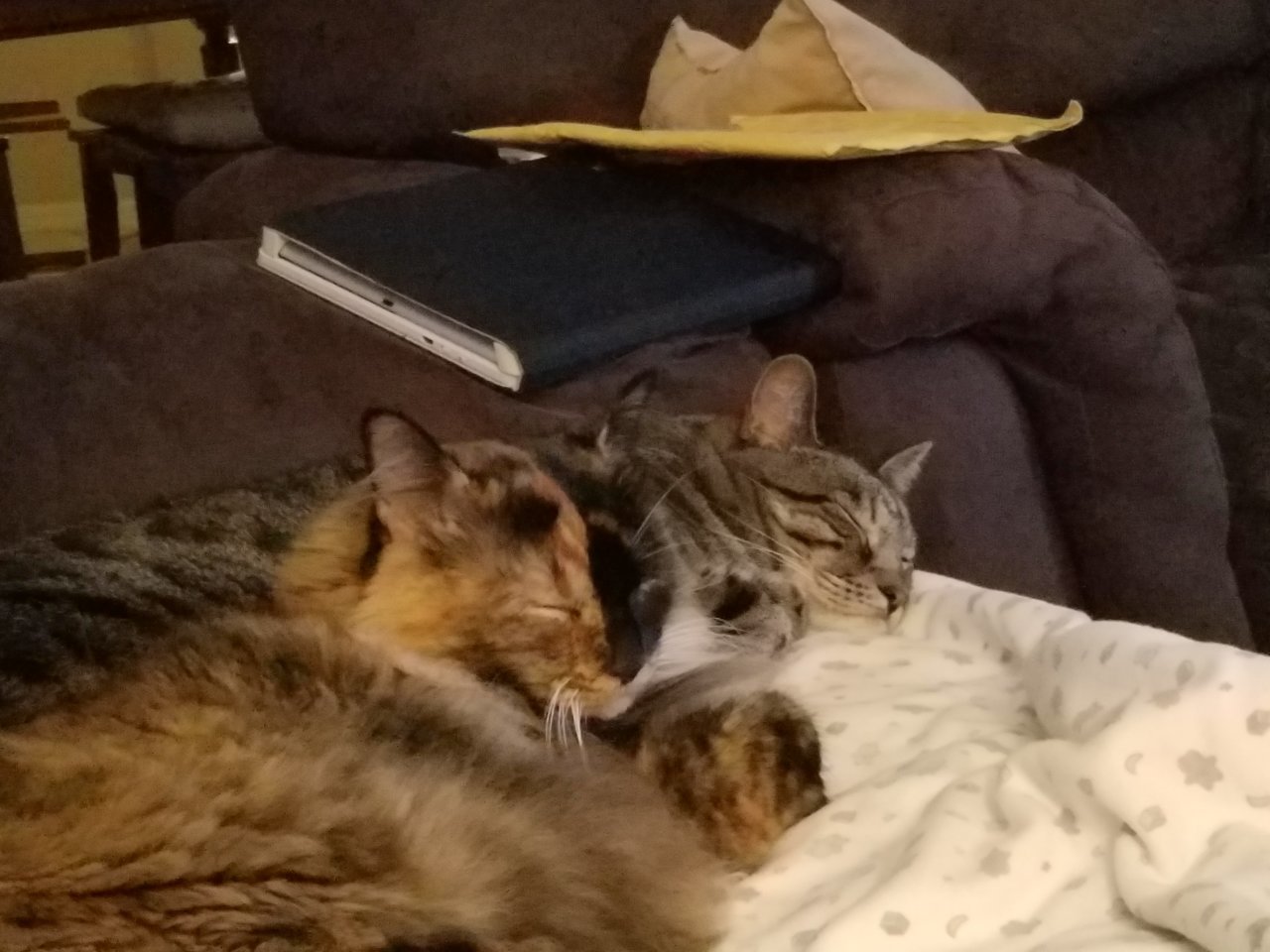20180619_001641.jpg