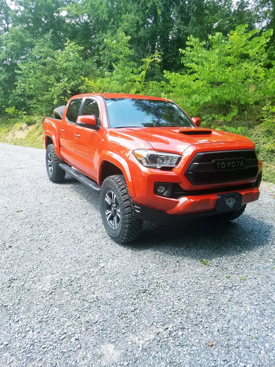 20180620_074230.jpg