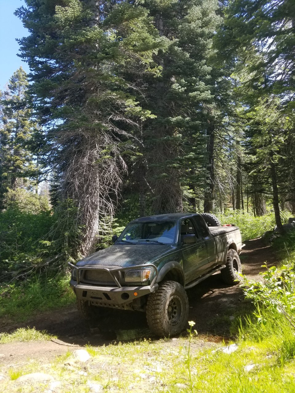 20180620_111901.jpg