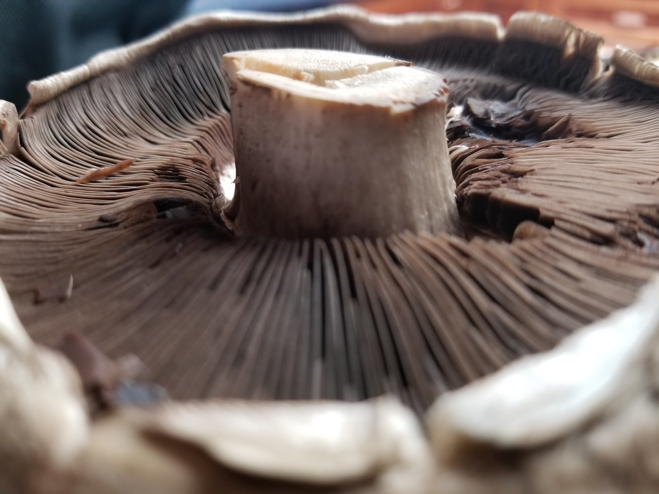 20180620_174856.jpg