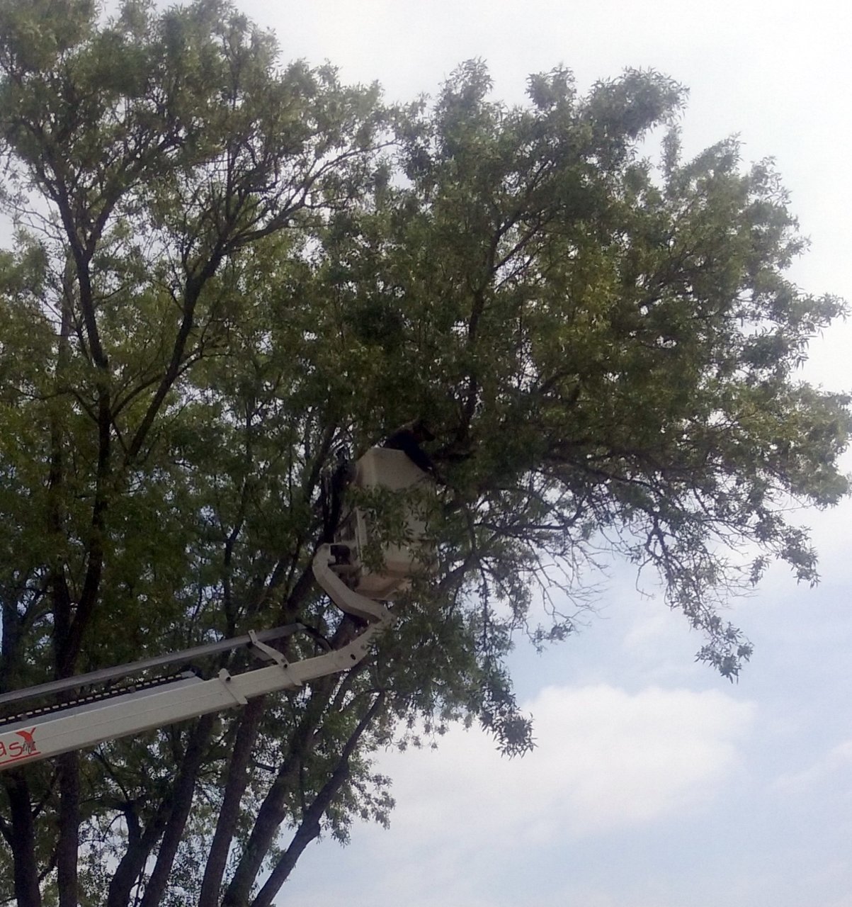 20180621_111527.jpg