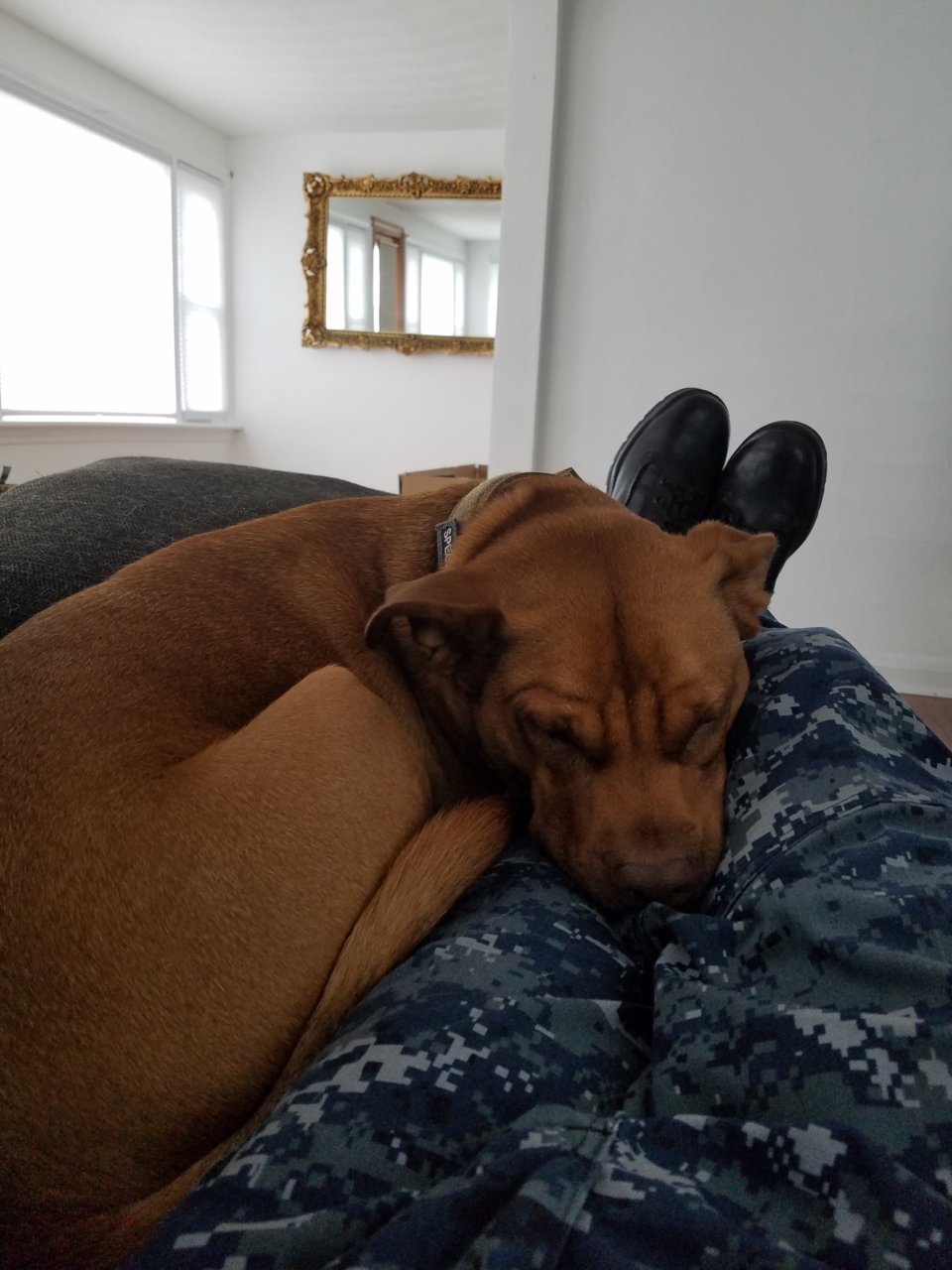 20180621_154909.jpg