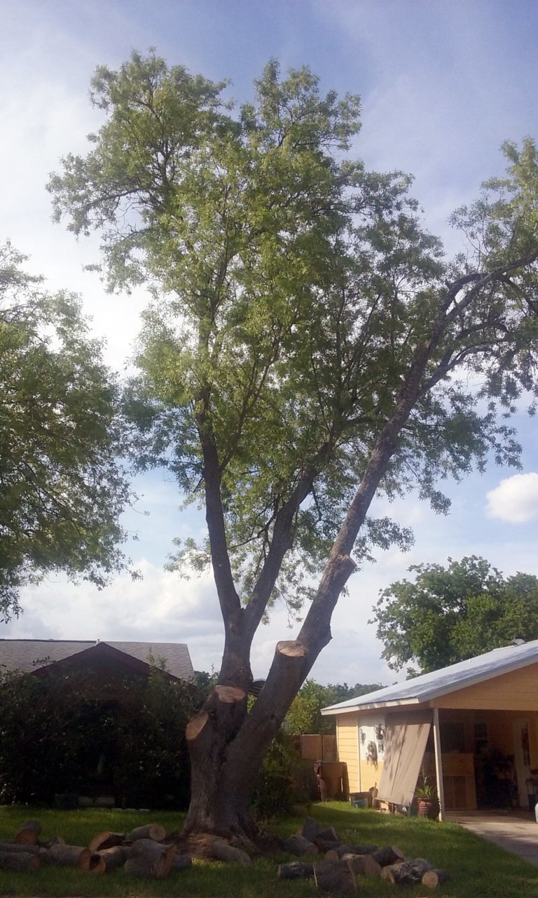 20180621_170831.jpg