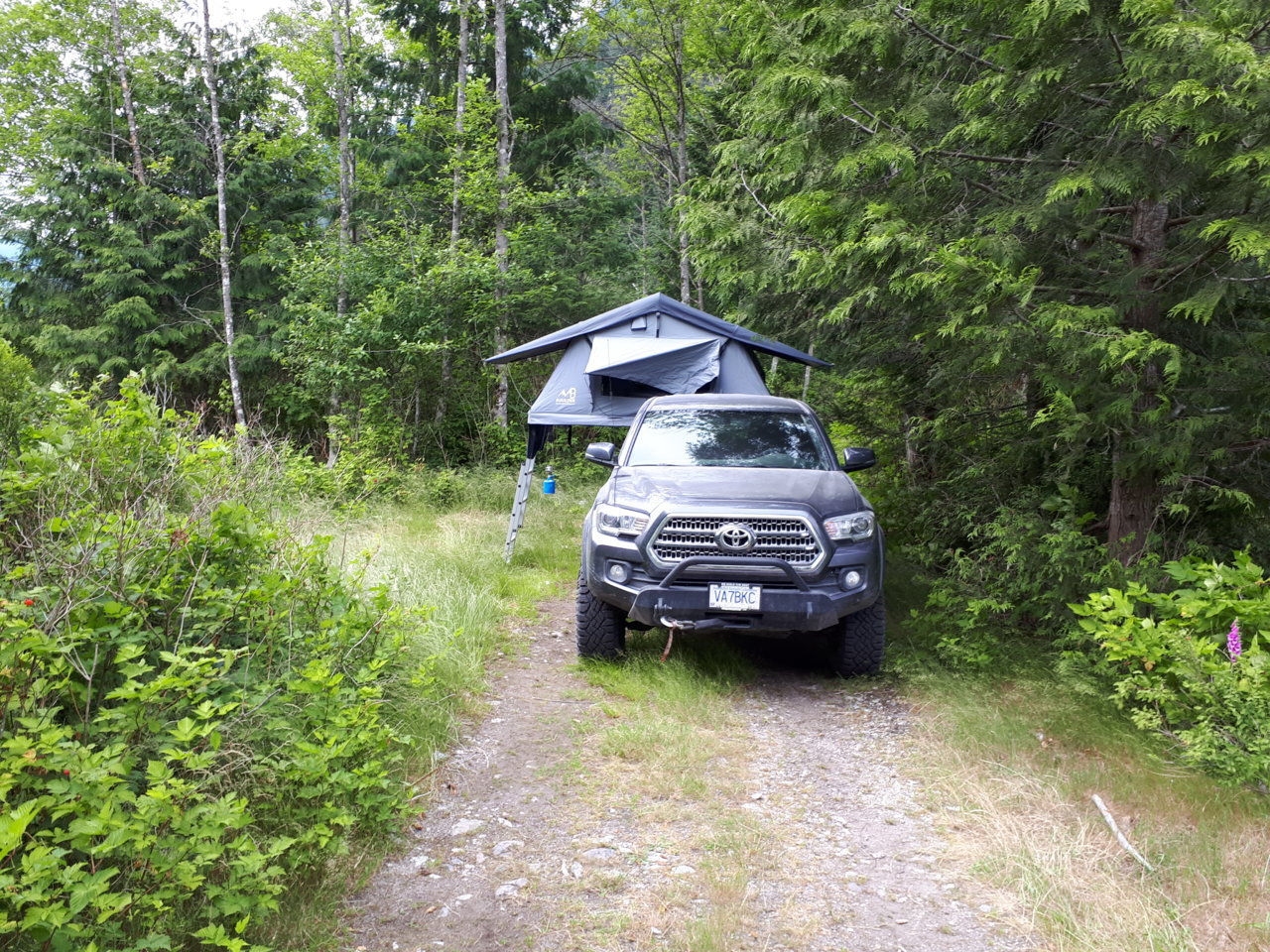 20180621_175138.jpg