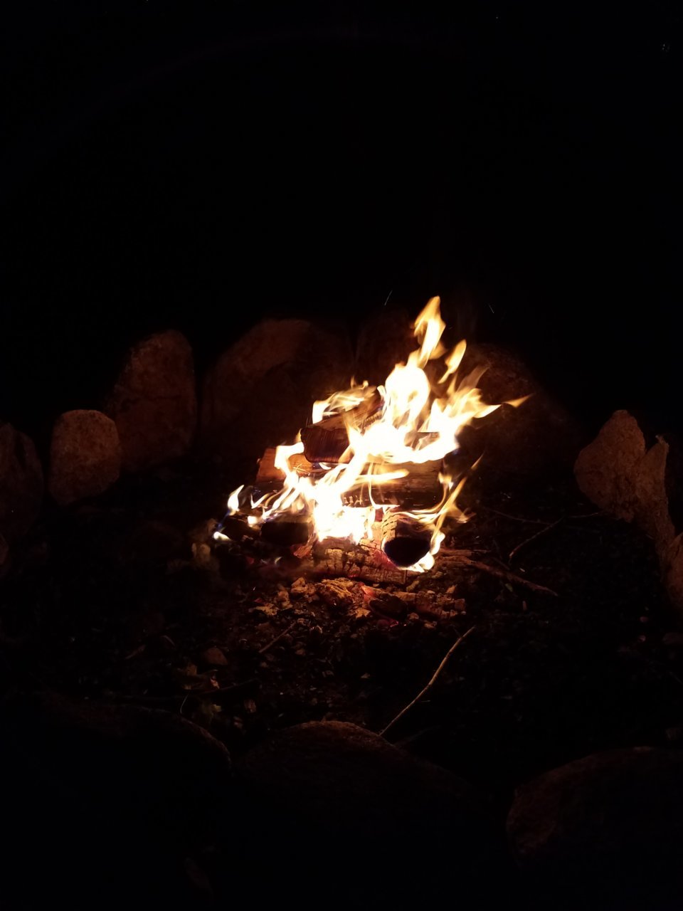 20180621_205317.jpg