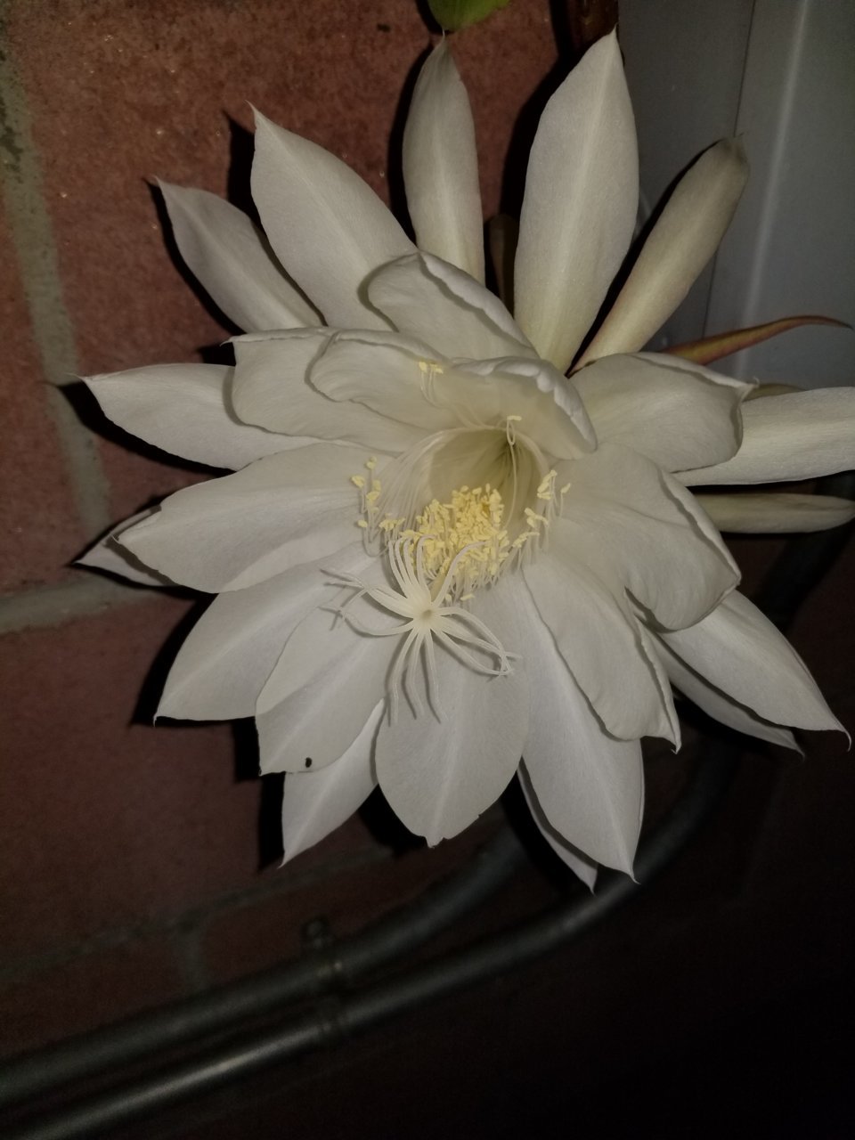 20180622_000547.jpg