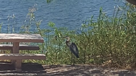 20180622_105843.jpg