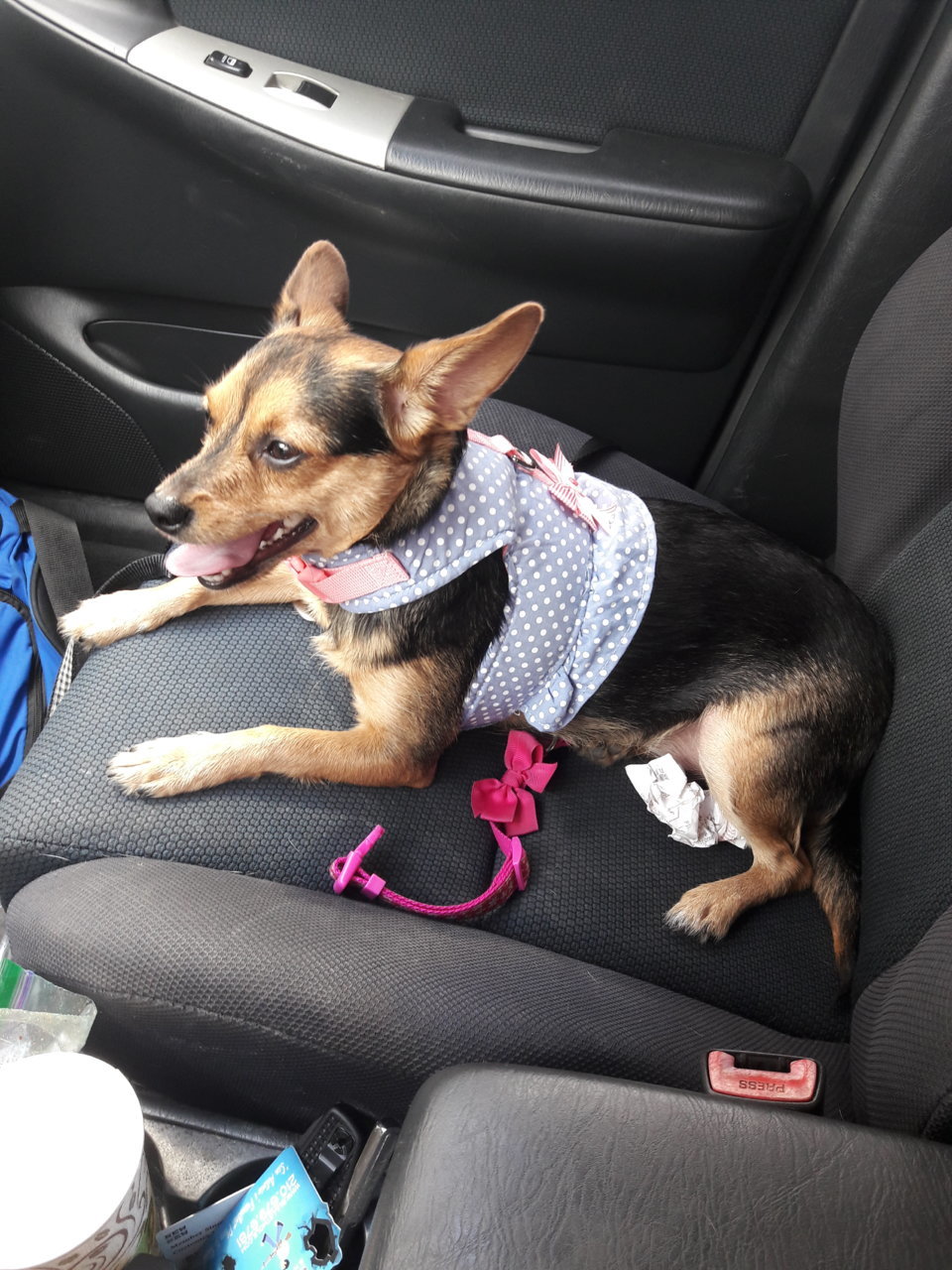 20180622_155004.jpg