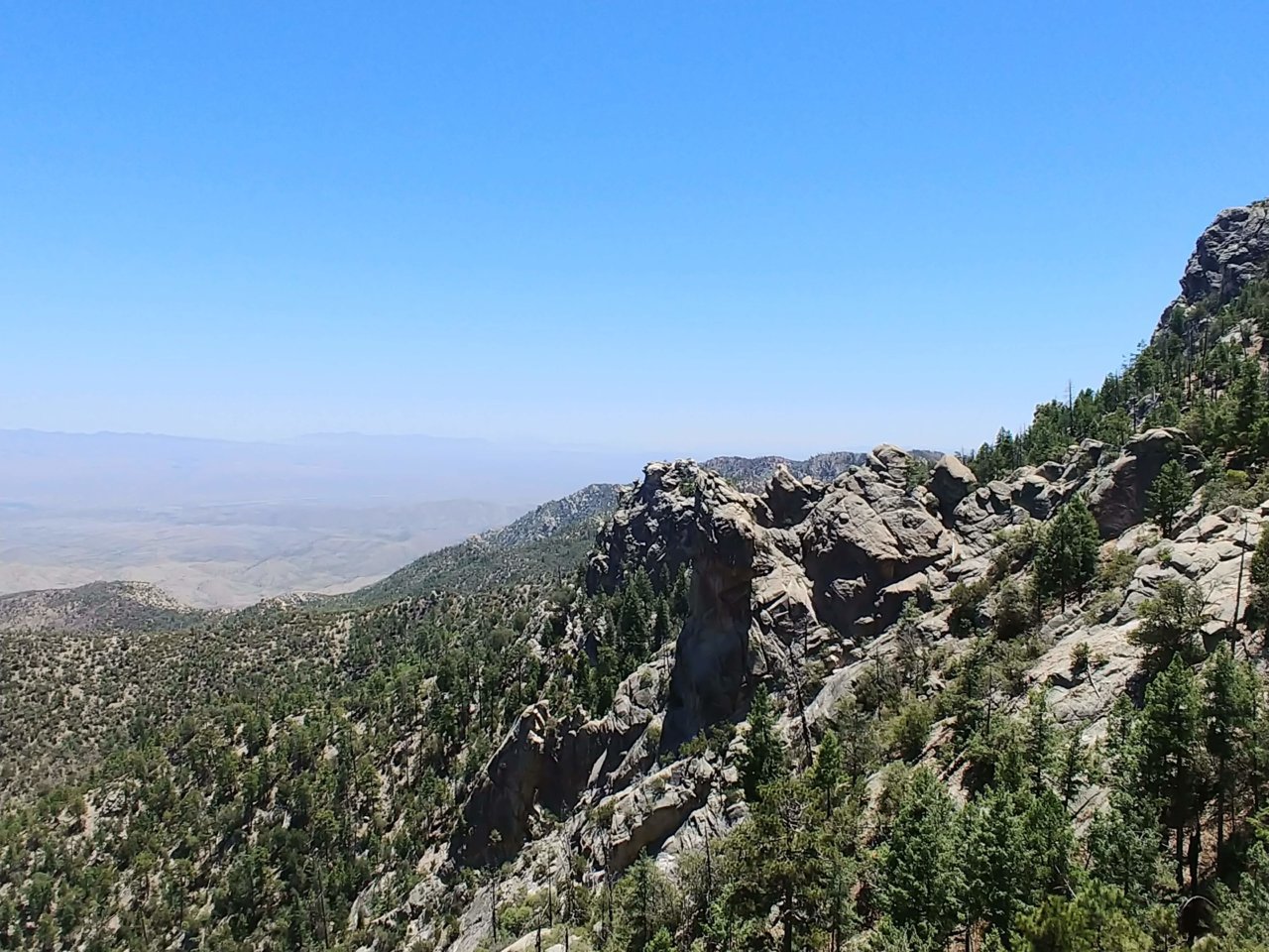 20180623_121059.jpg