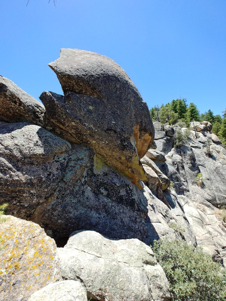 20180623_123743_HDR.jpg