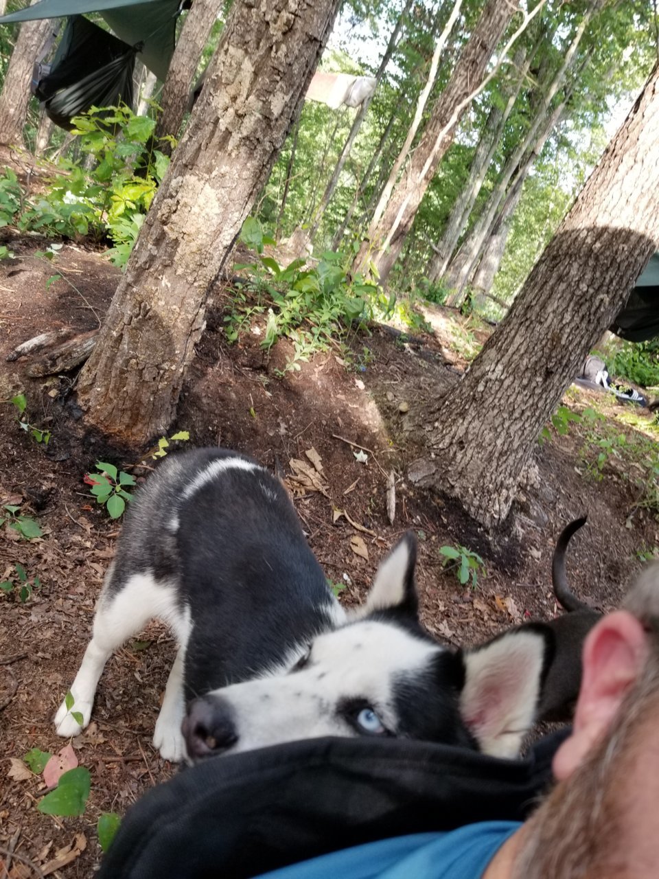 20180623_182525.jpg