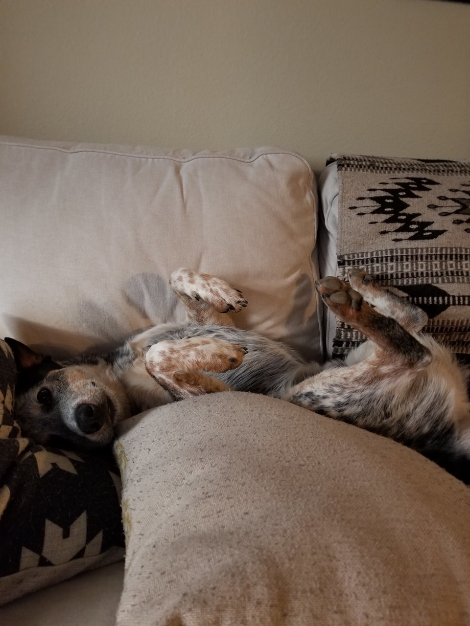 20180623_182958.jpg