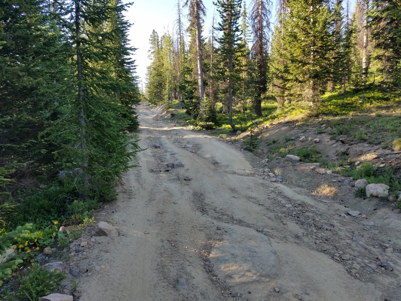 20180624_072810.jpg