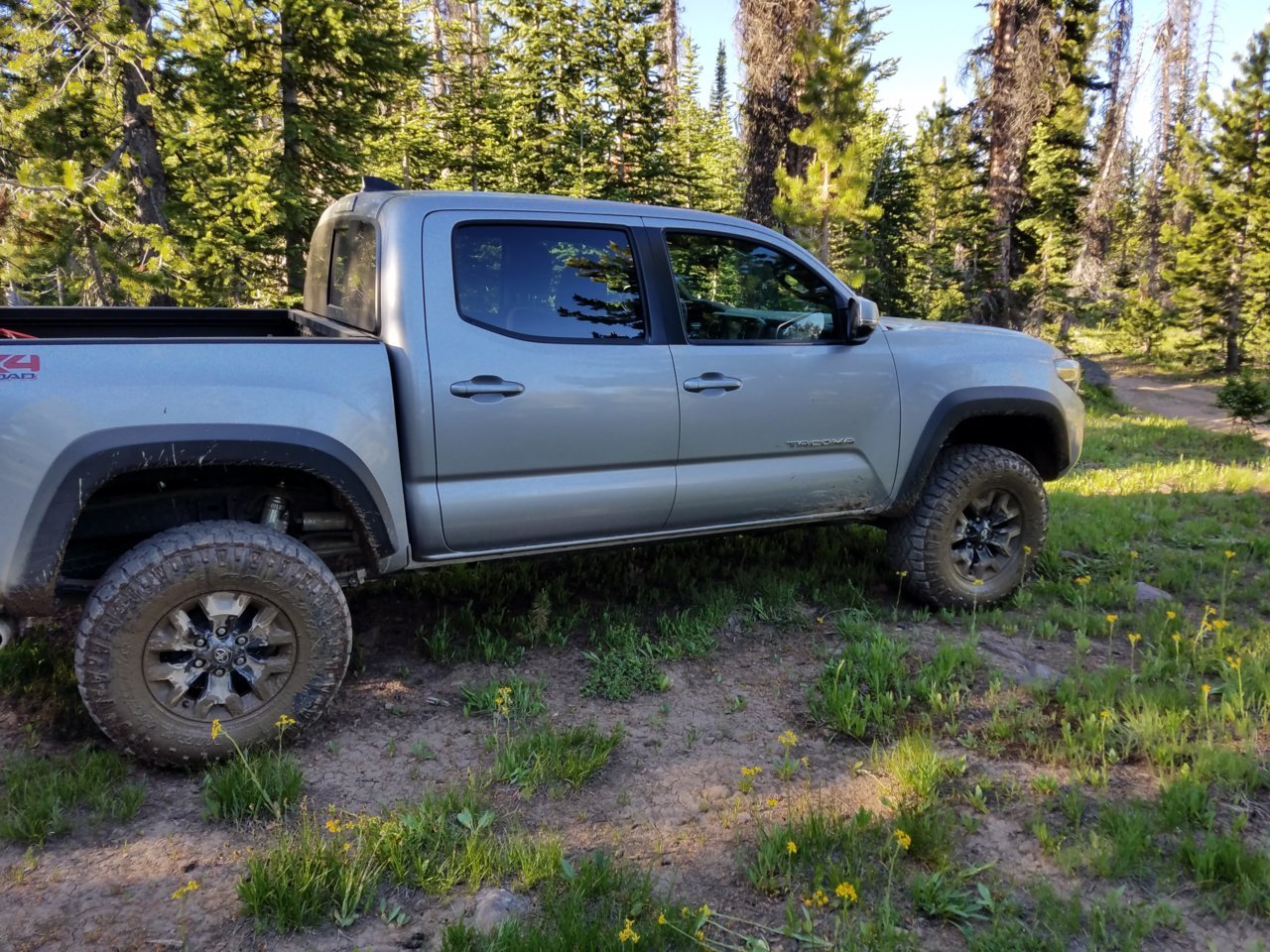 20180624_074338.jpg