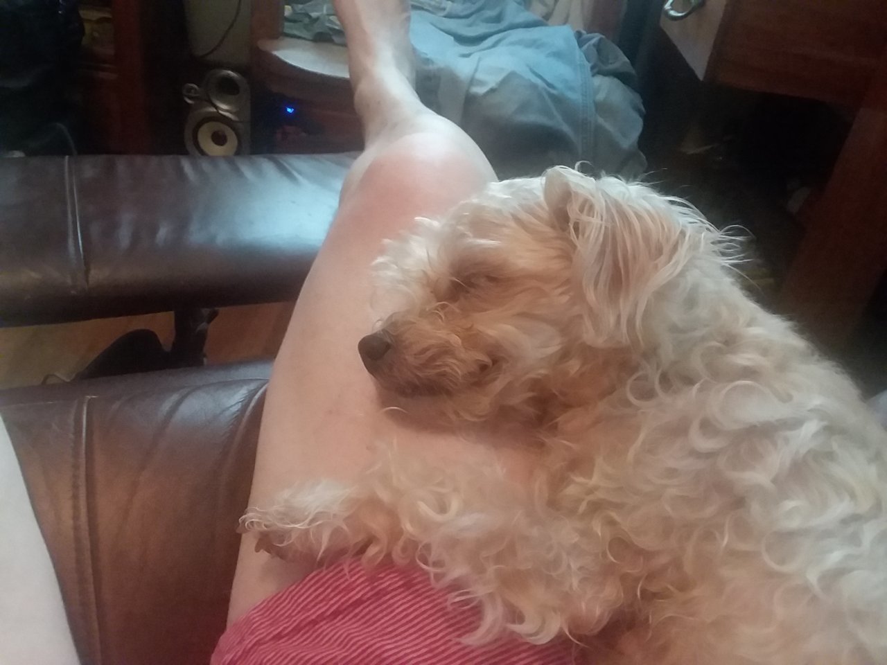 20180624_133654.jpg
