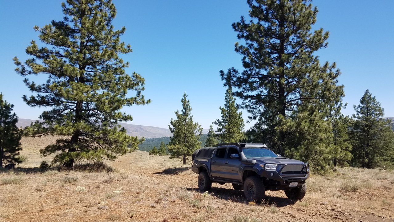20180624_135151.jpg
