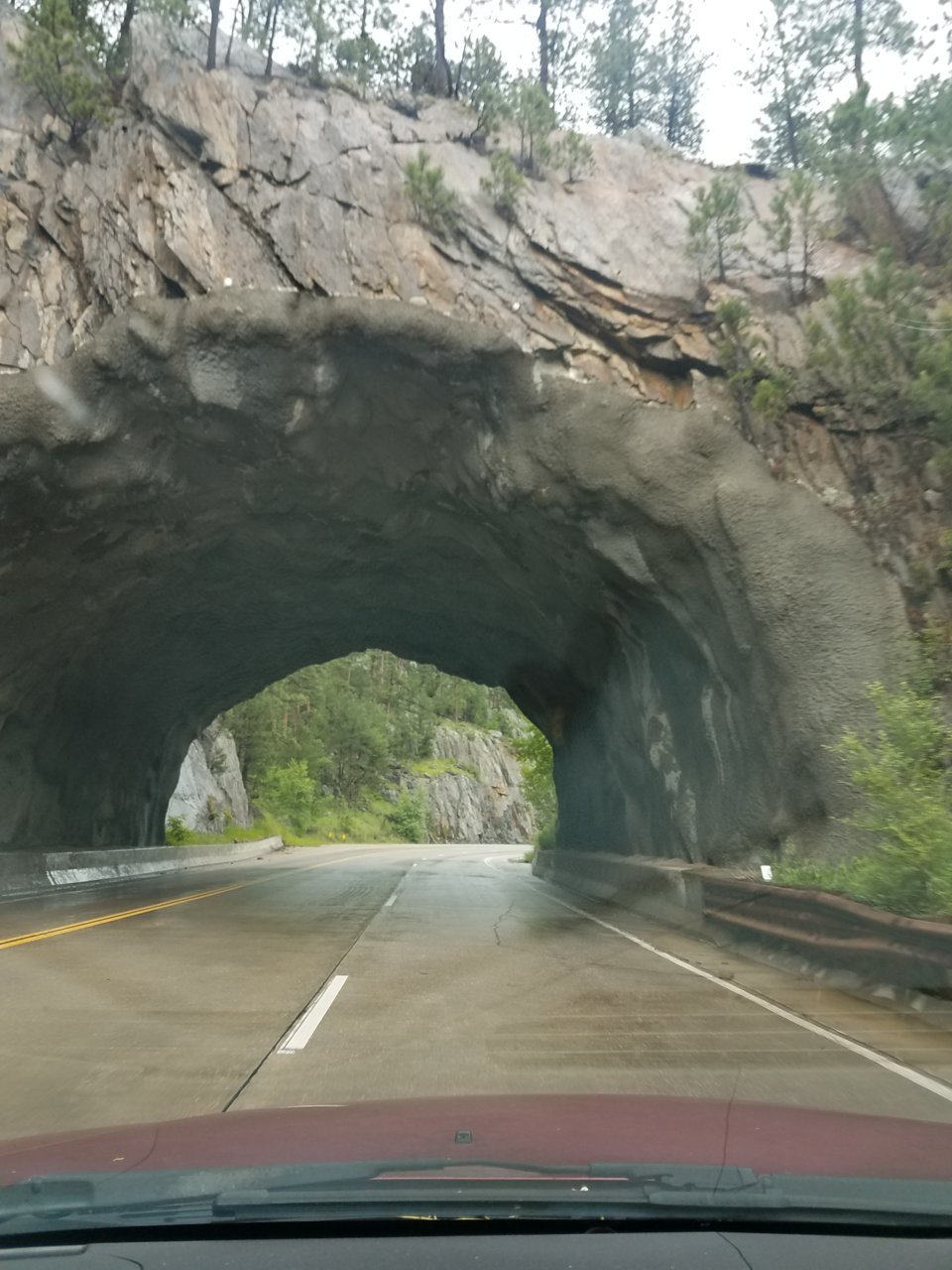 20180624_165027.jpg