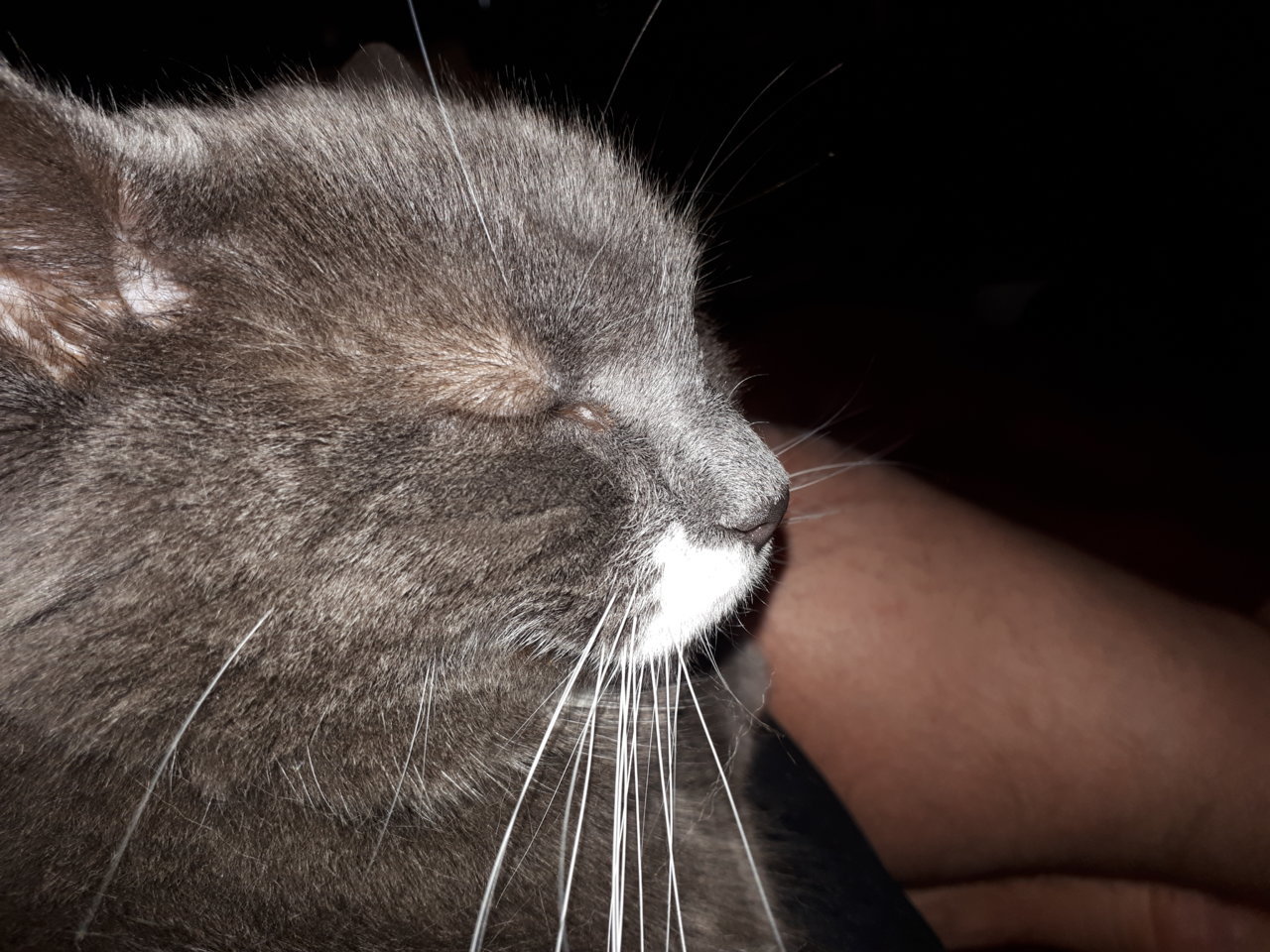 20180624_224458.jpg