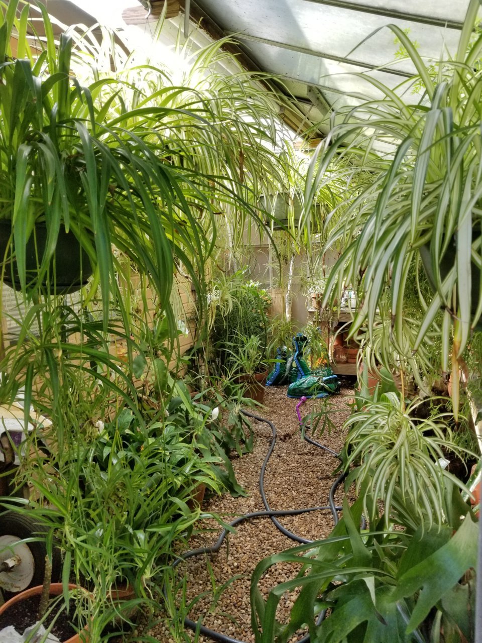 20180625_102710.jpg