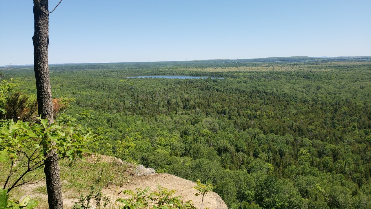 20180625_120931.jpg