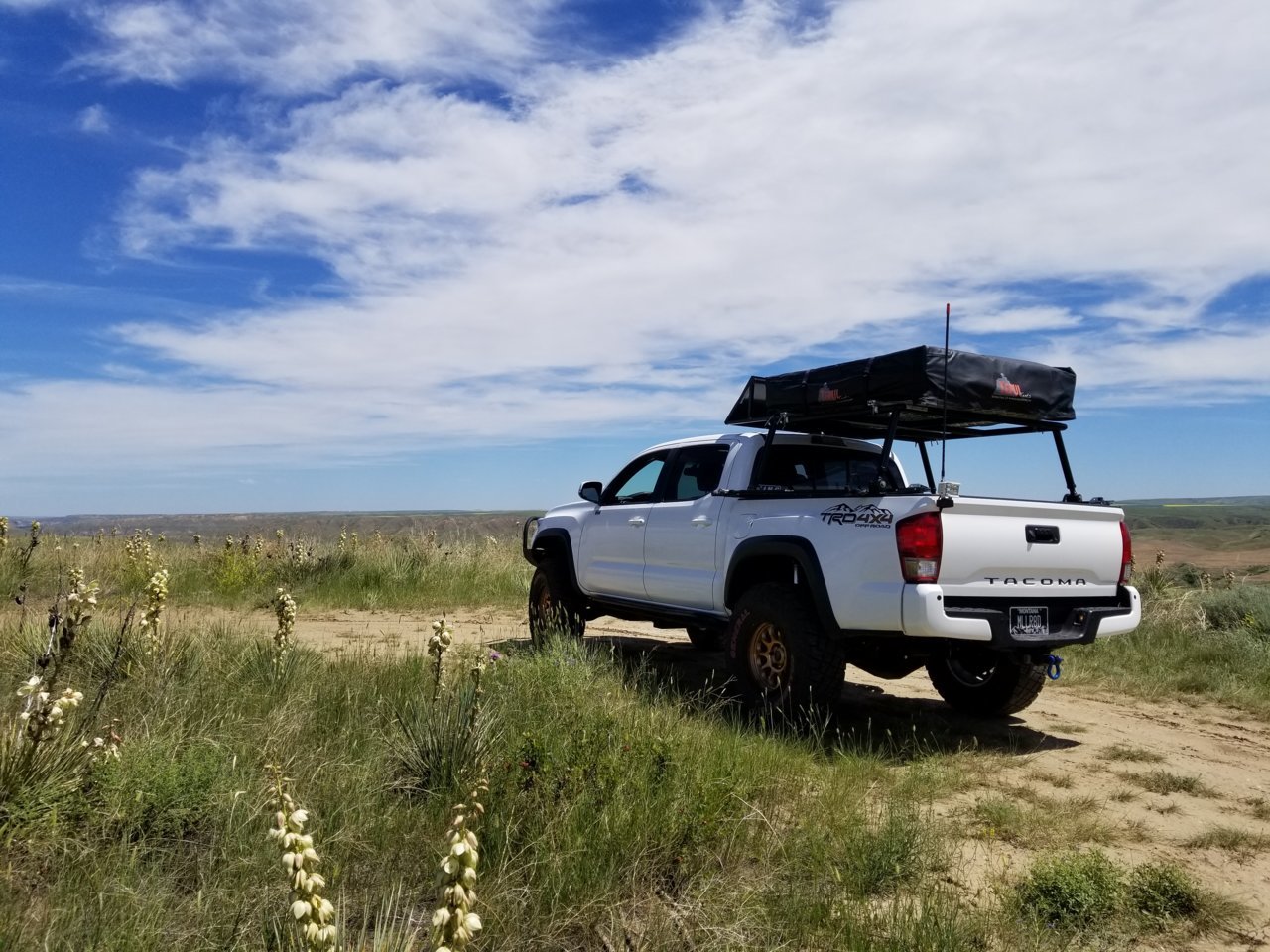 20180625_130339.jpg