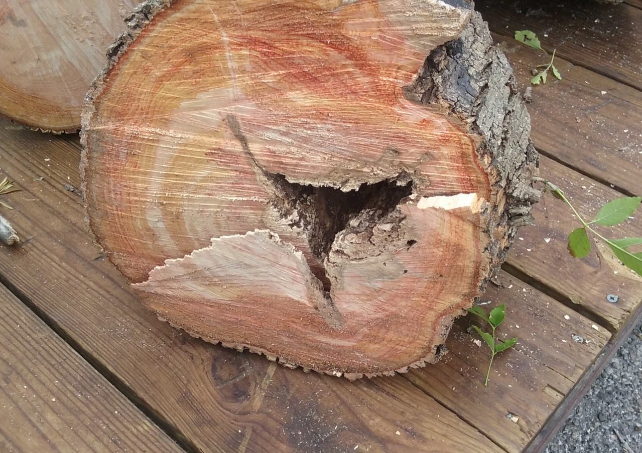 20180626_112211.jpg