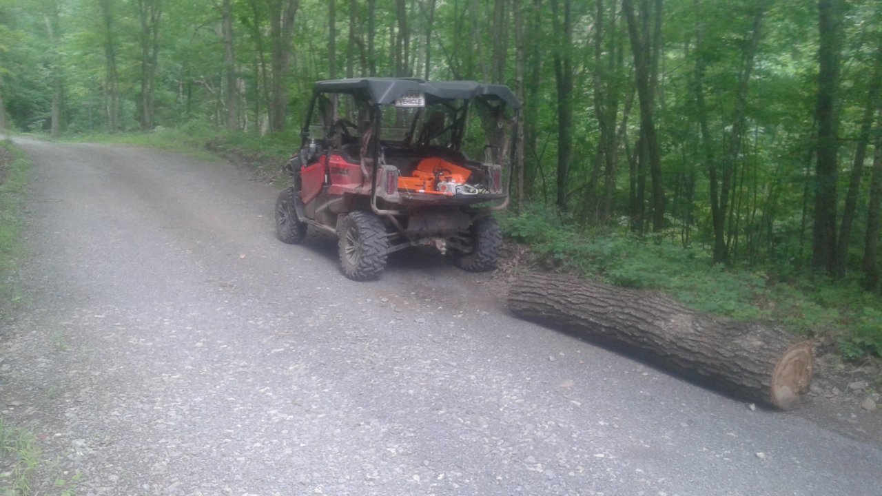 20180626_161040.jpg