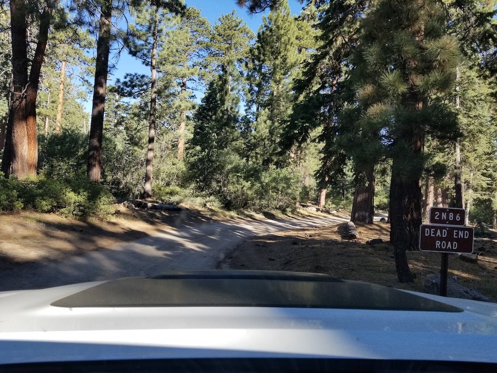 20180627_080507 copy.jpg