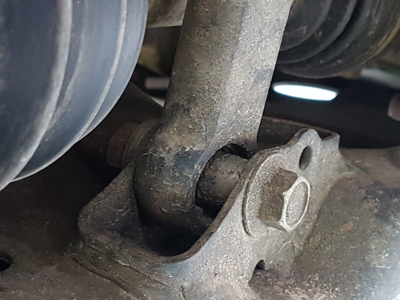 20180627_104801.jpg