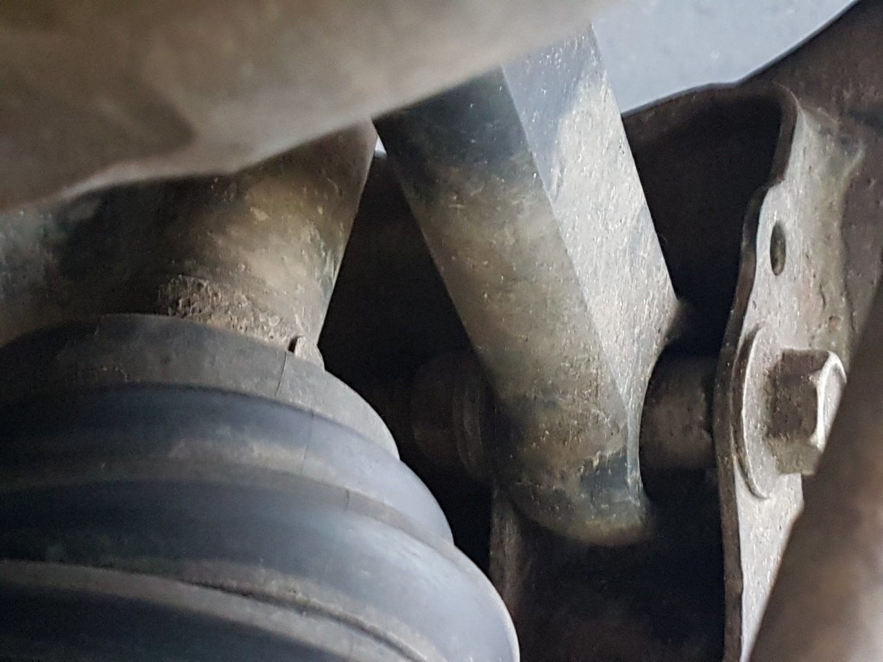 20180627_104817.jpg