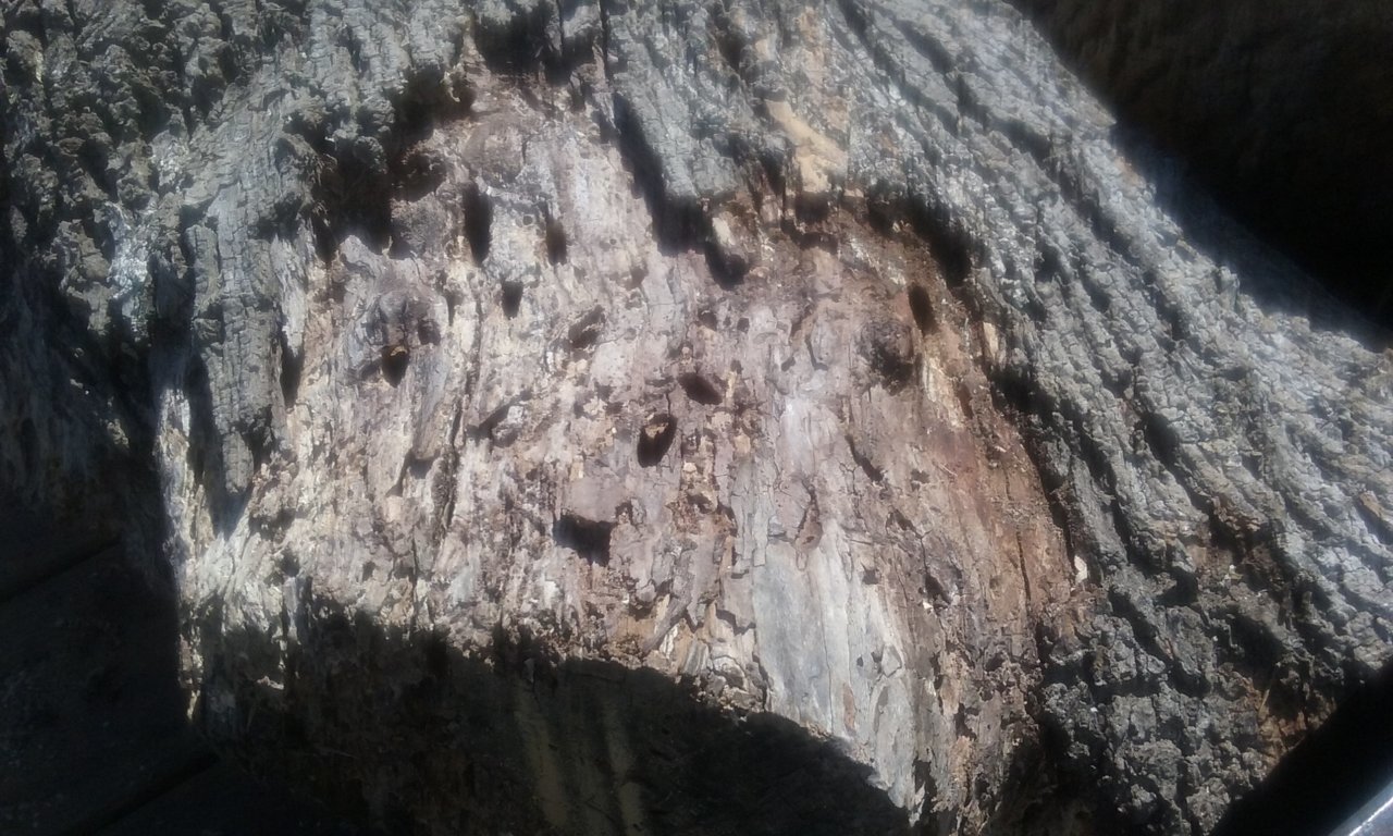 20180627_110139 1.jpg