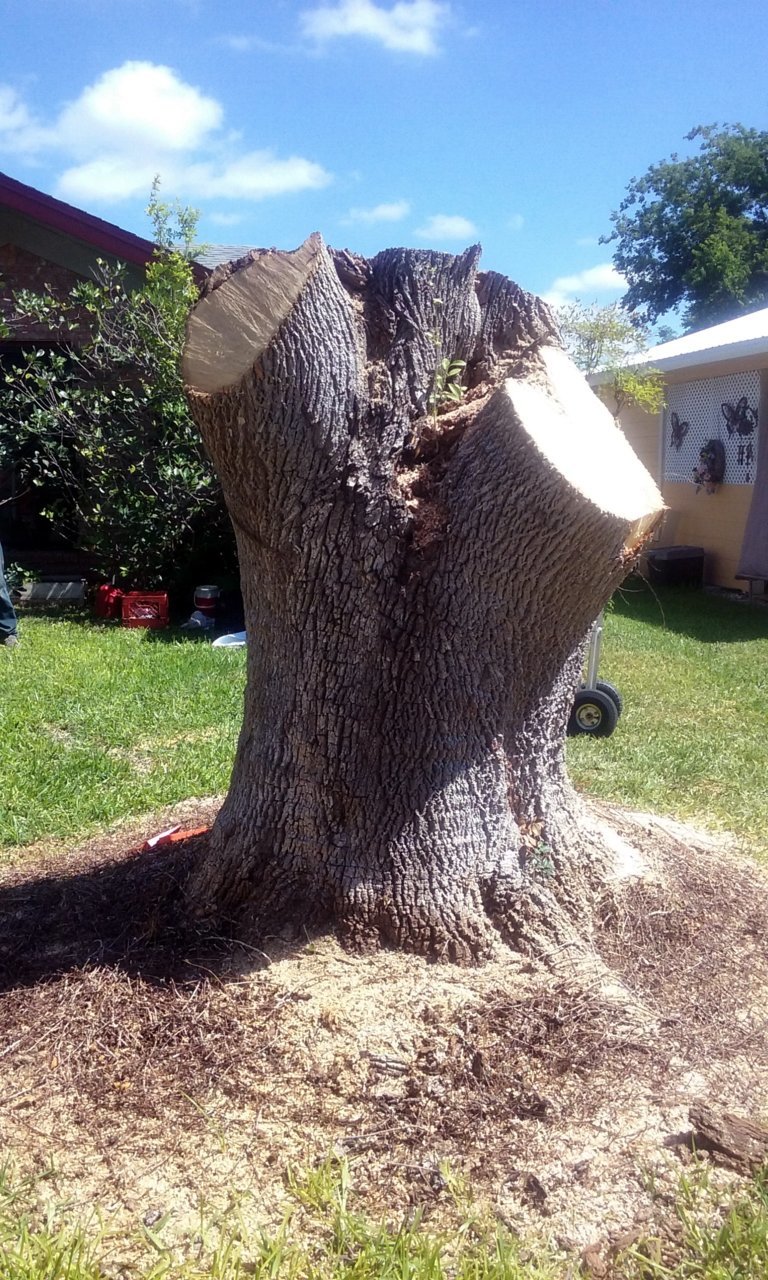 20180627_110739.jpg