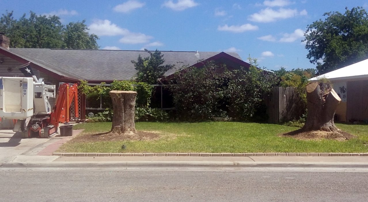 20180627_114217.jpg