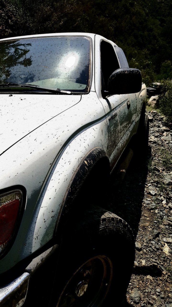 20180627_122845.jpg
