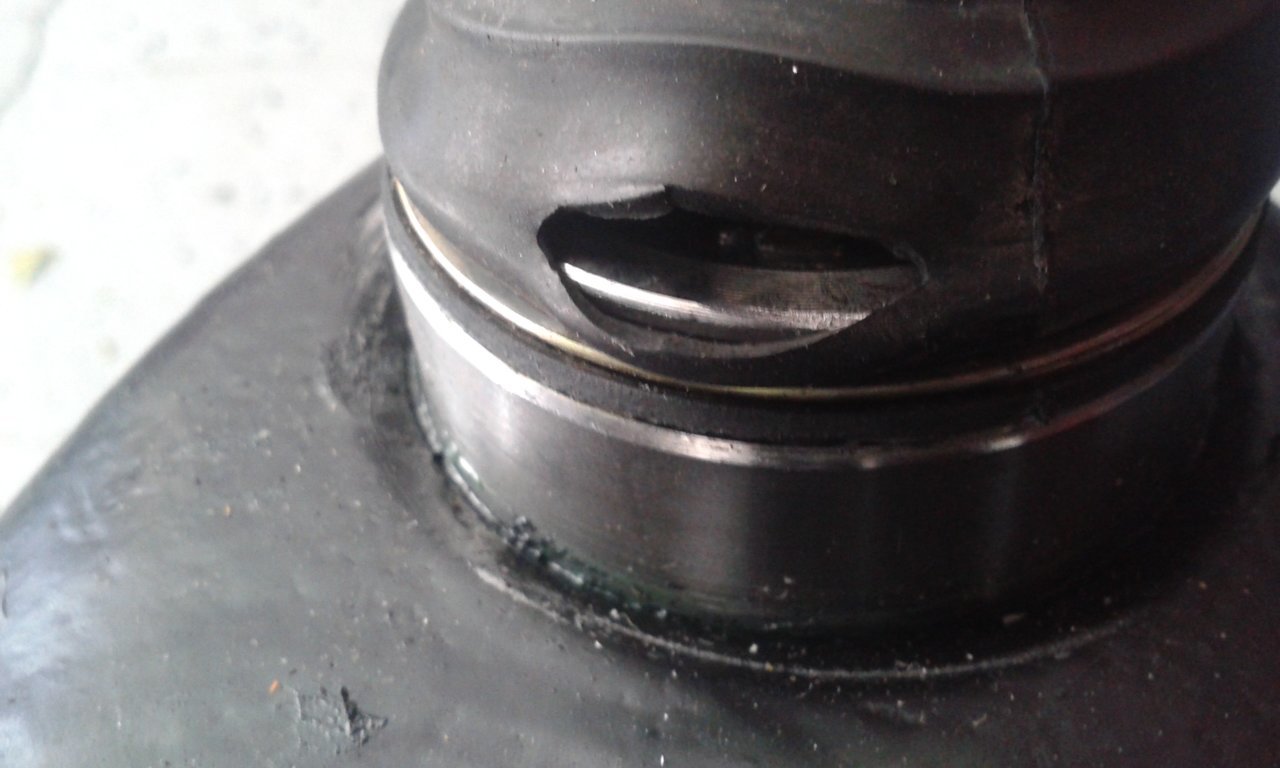 20180627_152009.jpg