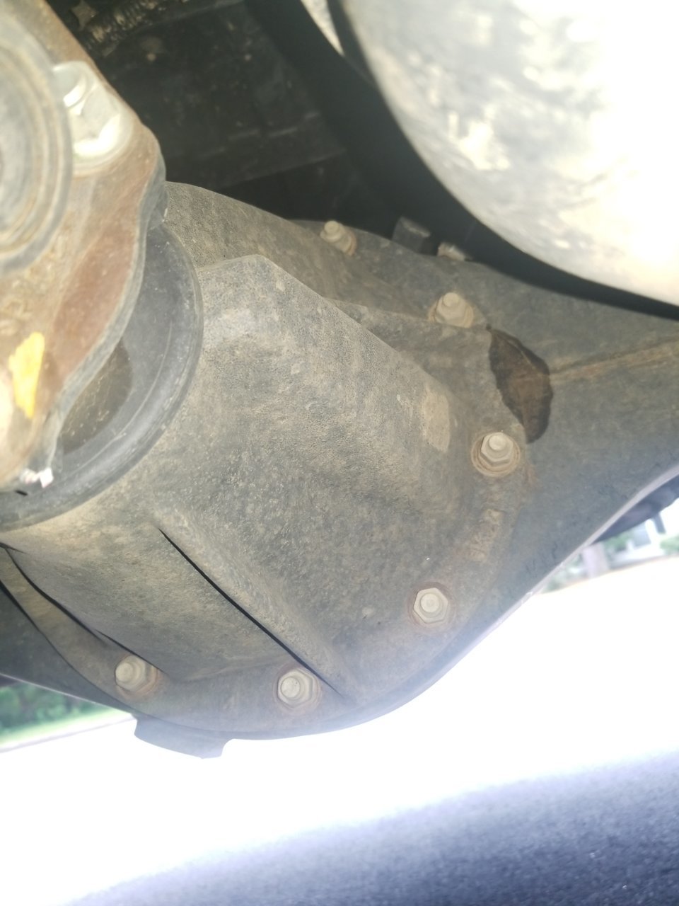 20180627_162654.jpg
