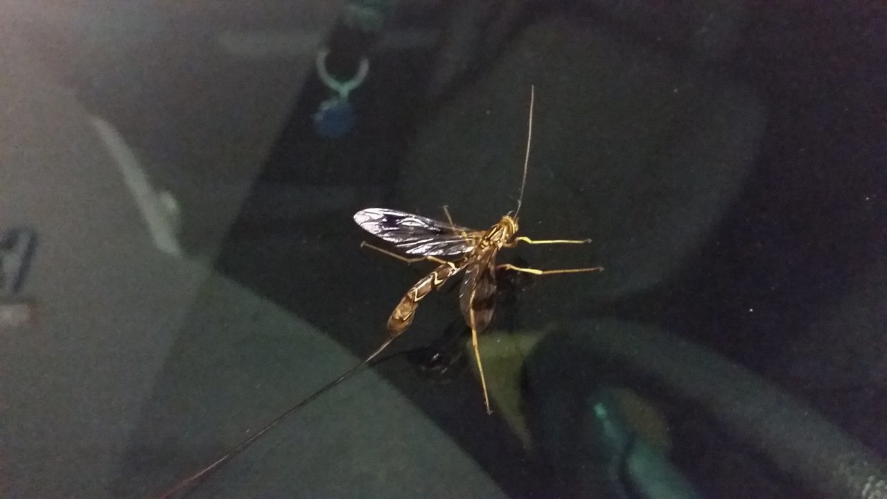 20180627_201901.jpg