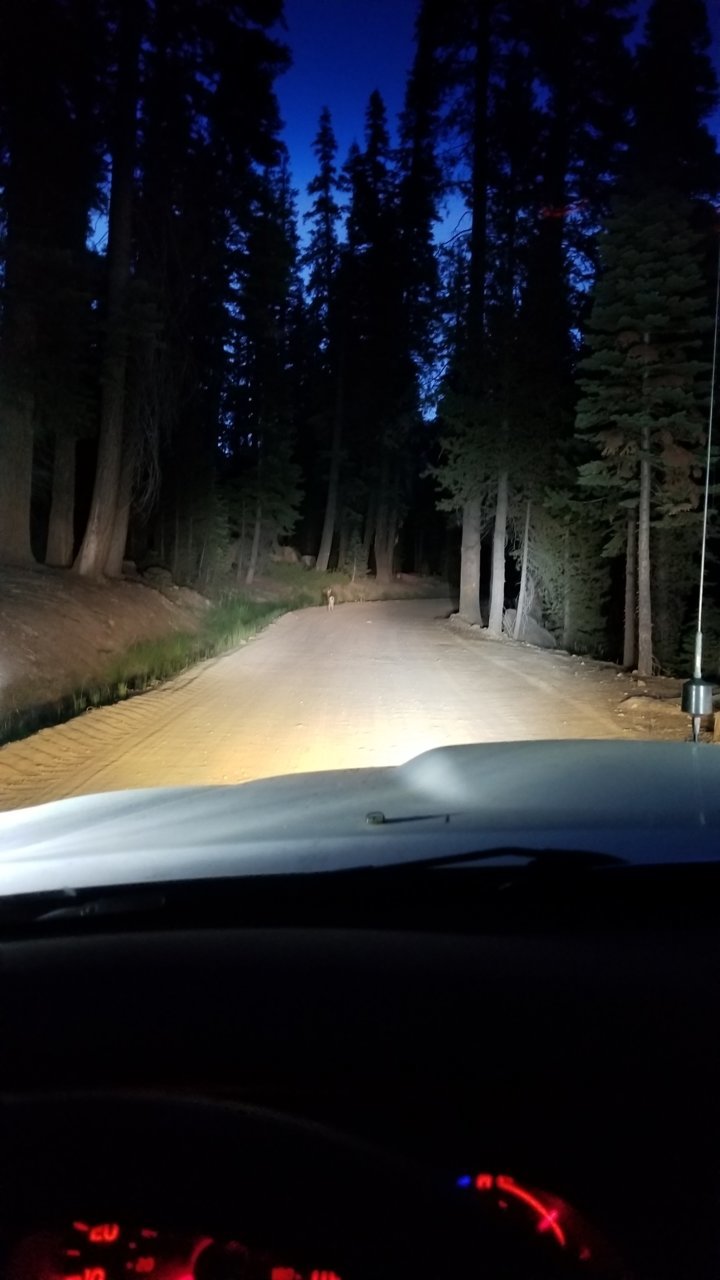 20180627_205311.jpg