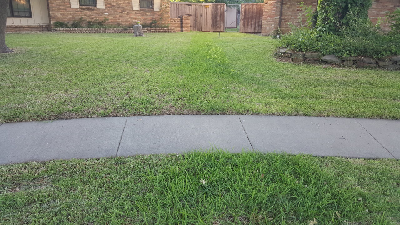 20180628_071139.jpg