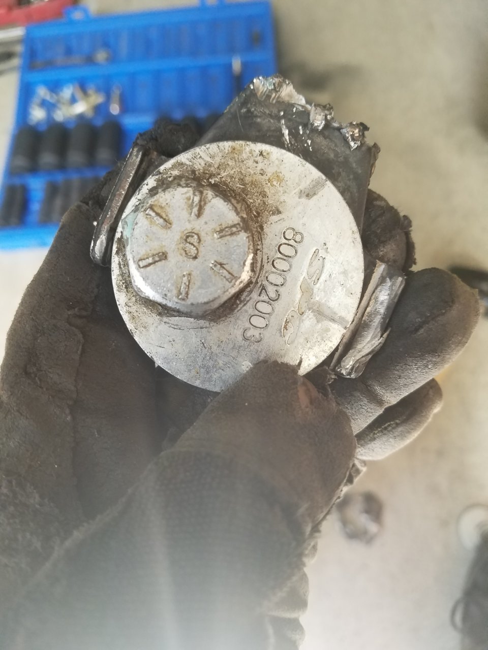 20180628_102657.jpg