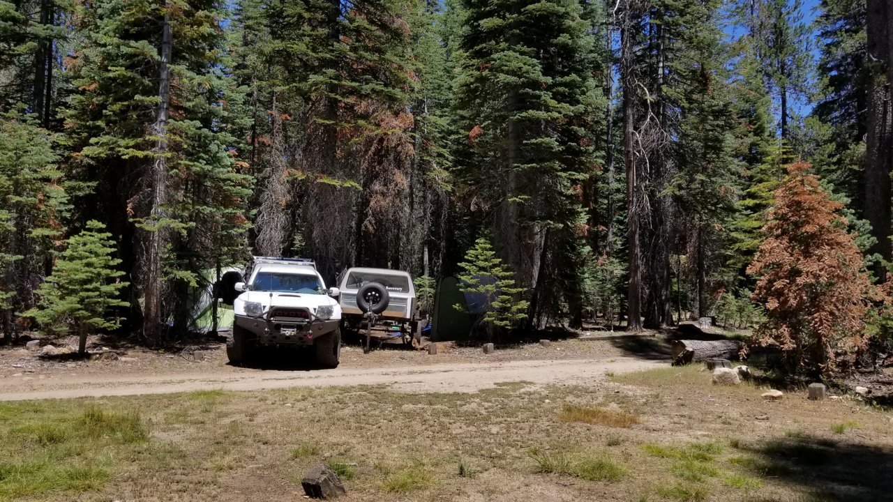 20180628_125006.jpg
