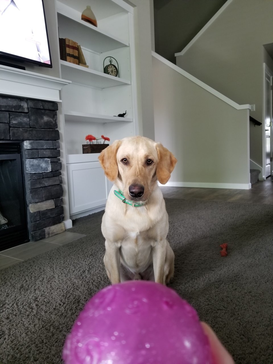 20180628_180236.jpg