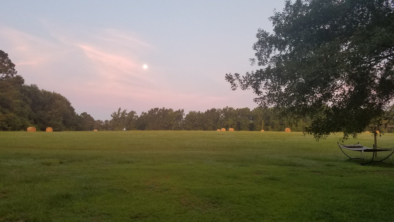 20180629_060424.jpg