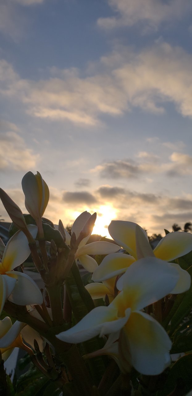 20180629_193944.jpg
