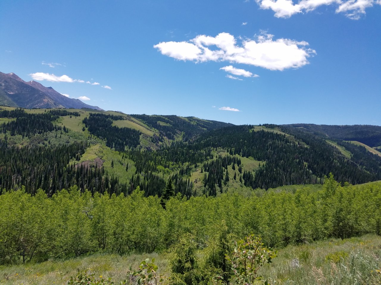 20180630_120157.jpg