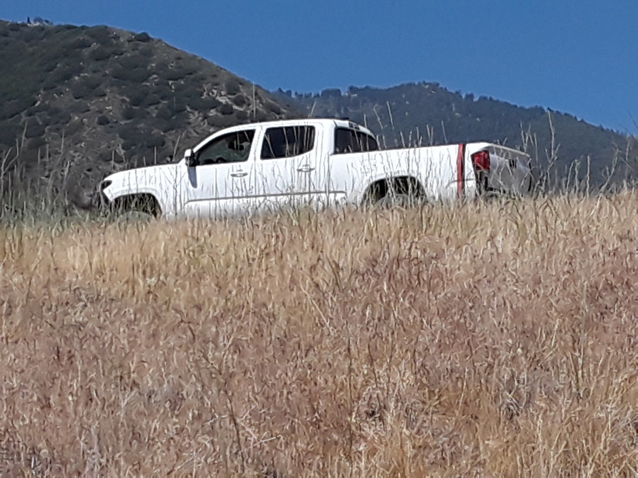 20180630_150904.jpg