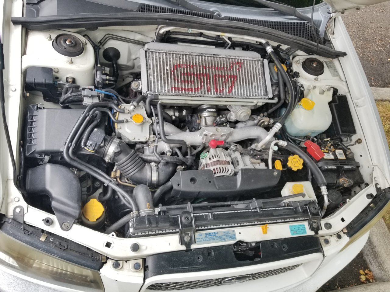 20180630_154926.jpg